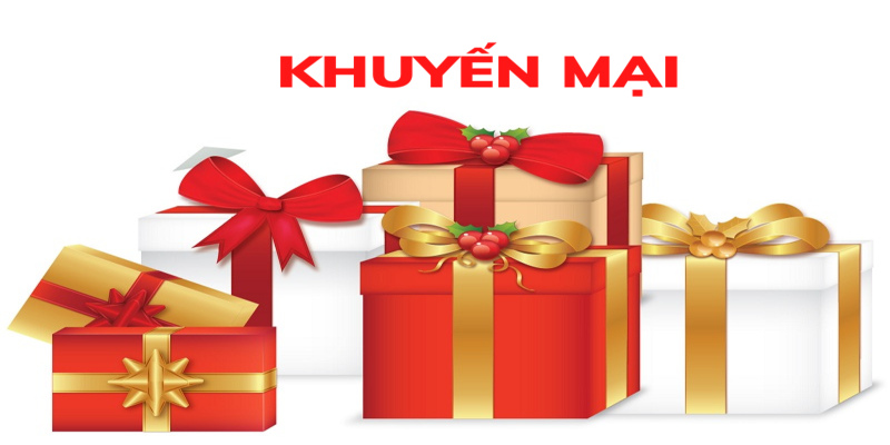 Chương trình khuyến mãi tri ân hội viên của New88